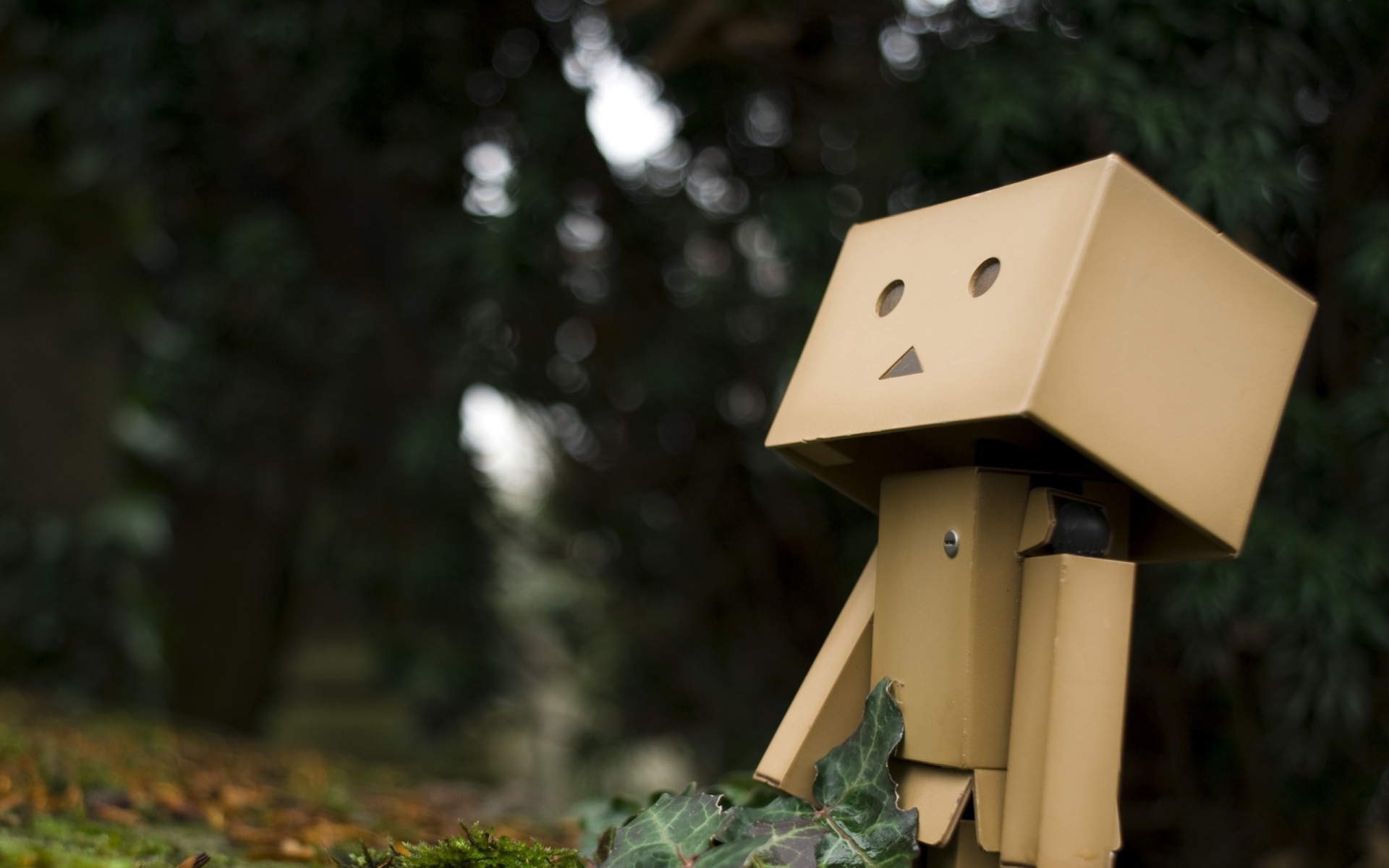 Картинки Danboard, трава, прогулки, макро, настроение фото и обои на рабочий стол