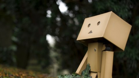 Danboard, трава, прогулки, макро, настроение