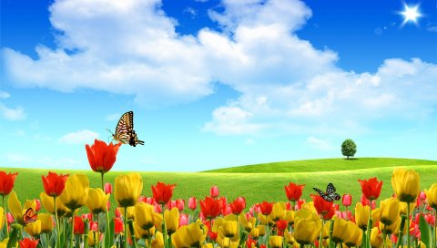 Тюльпаны, цветы, поле, дерево, небо, солнце, облака, бабочки