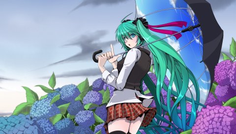 Амино-dopple, вокалоид, hatsune miku, носки, зонтик