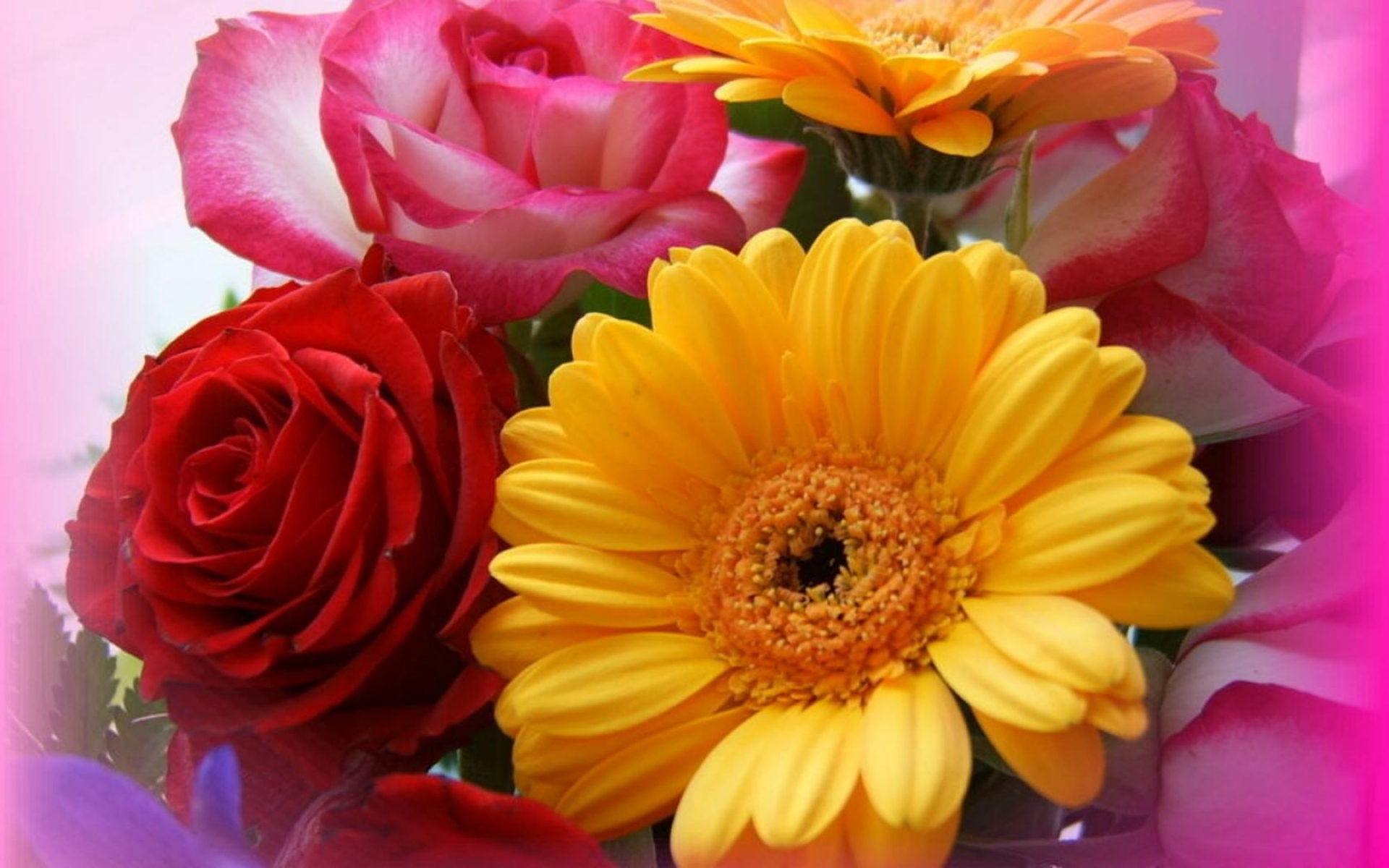 Герберы с поздравлением. Яркие цветы. Герберы цветы. С днем рождения цветы. Открытка цветы.