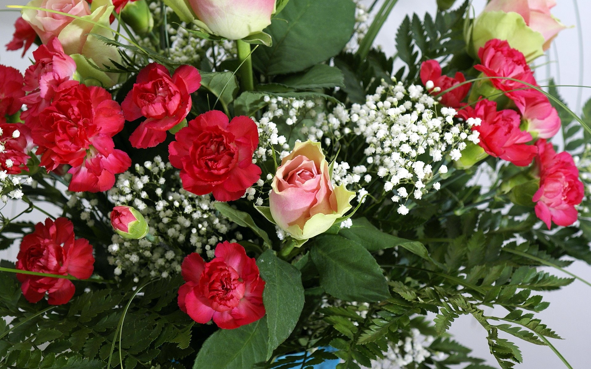 Картинки Розы, гвоздики, цветы, гипсофила, цветок, зеленый фото и обои на рабочий стол