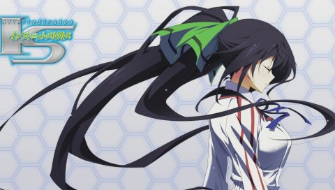Nfinite stratos, shinonono houki, девушка, длинные волосы, лук