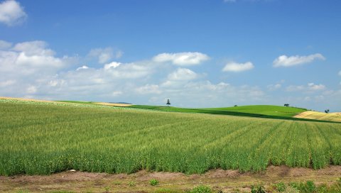 Япония, поле, культура, экономика