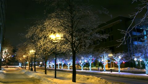 Деревья, парк, зима, орнамент, декор, улица, ночь, город