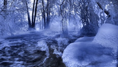 Лед, вода, ручей, река, волны, деревья, ветки, иней