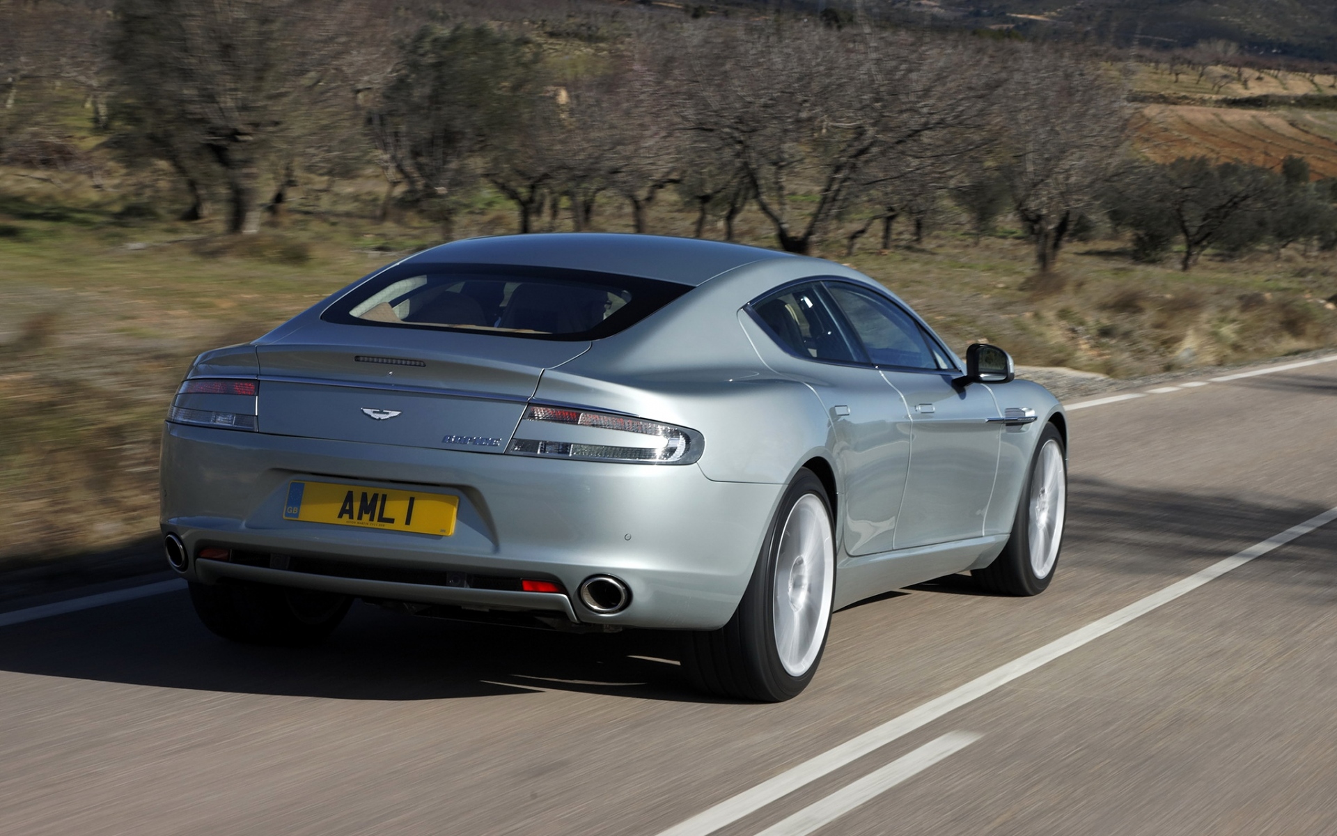 Картинки Aston martin, rapide, 2009, серебро, вид сзади, природа фото и обои на рабочий стол