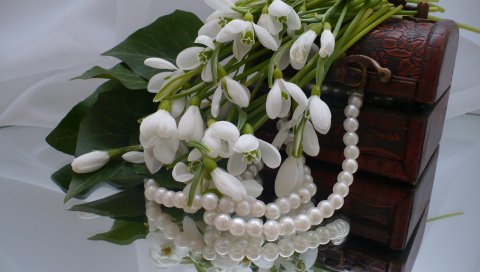Подснежники, цветы, шкатулка, украшения, зеркала, отражение
