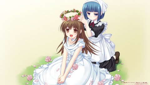 Saeki hokuto, rui wa tomo wo yobu, девушка, роза, цветы, венок