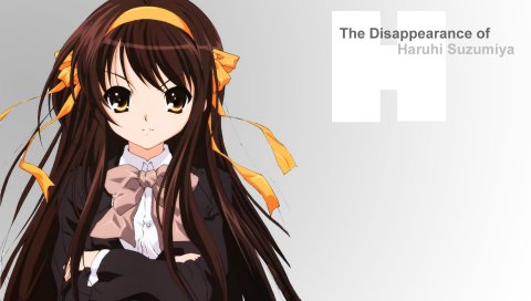 Suzumiya haruhi no yuutsu, suzumiya haruhi, девушка, брюнетка, пояс для позы, взгляд