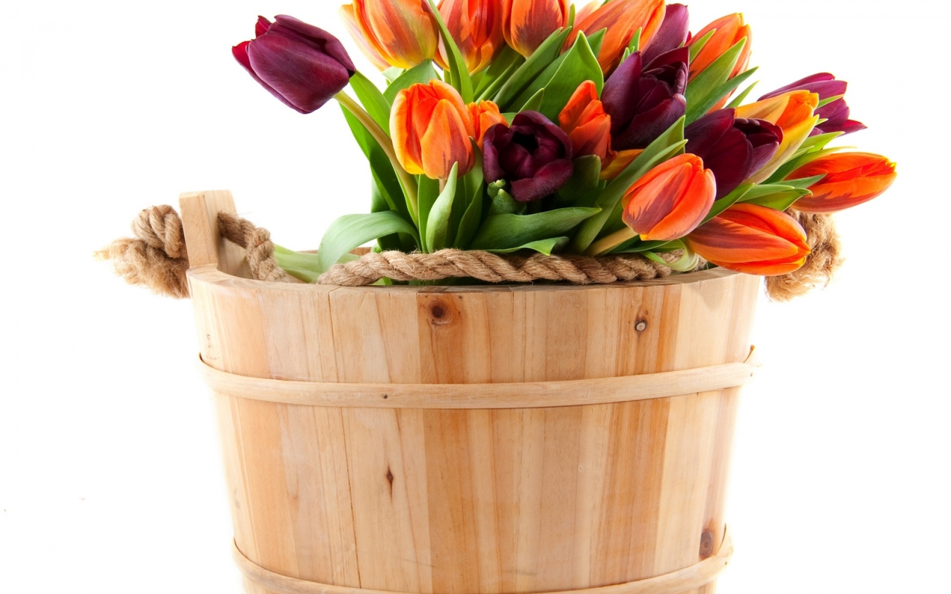 Картинки Тюльпаны, цветы, букет, набор, веревка фото и обои на рабочий стол