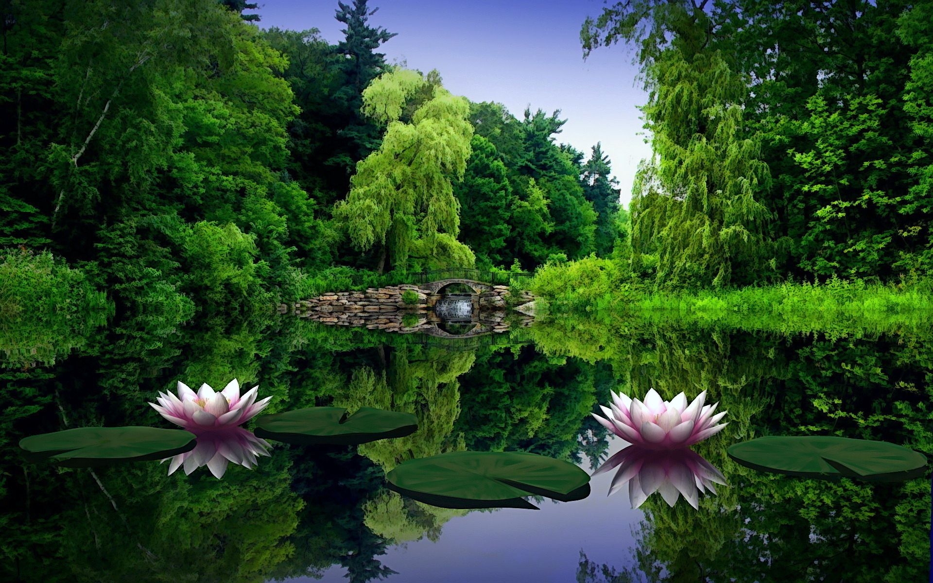 Картинки Водяные лилии, вода, листья, пруд, мост, деревья, красота, зеленый, природа фото и обои на рабочий стол
