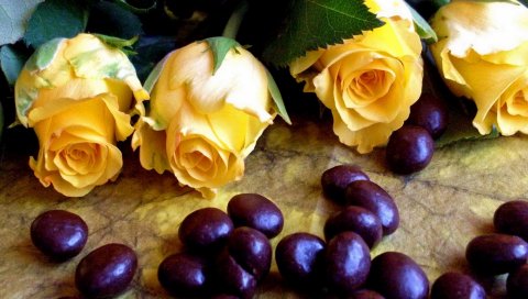 Розы, цветы, желтый, есть, поверхность, арахис, шоколад