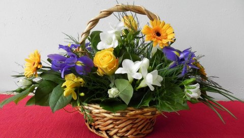 Розы, герберы, ирисы, листья, песня, корзина