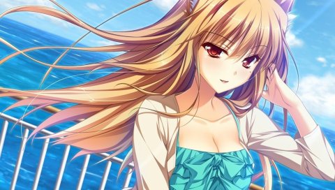Yasaka minato, девушка, уши, хвост