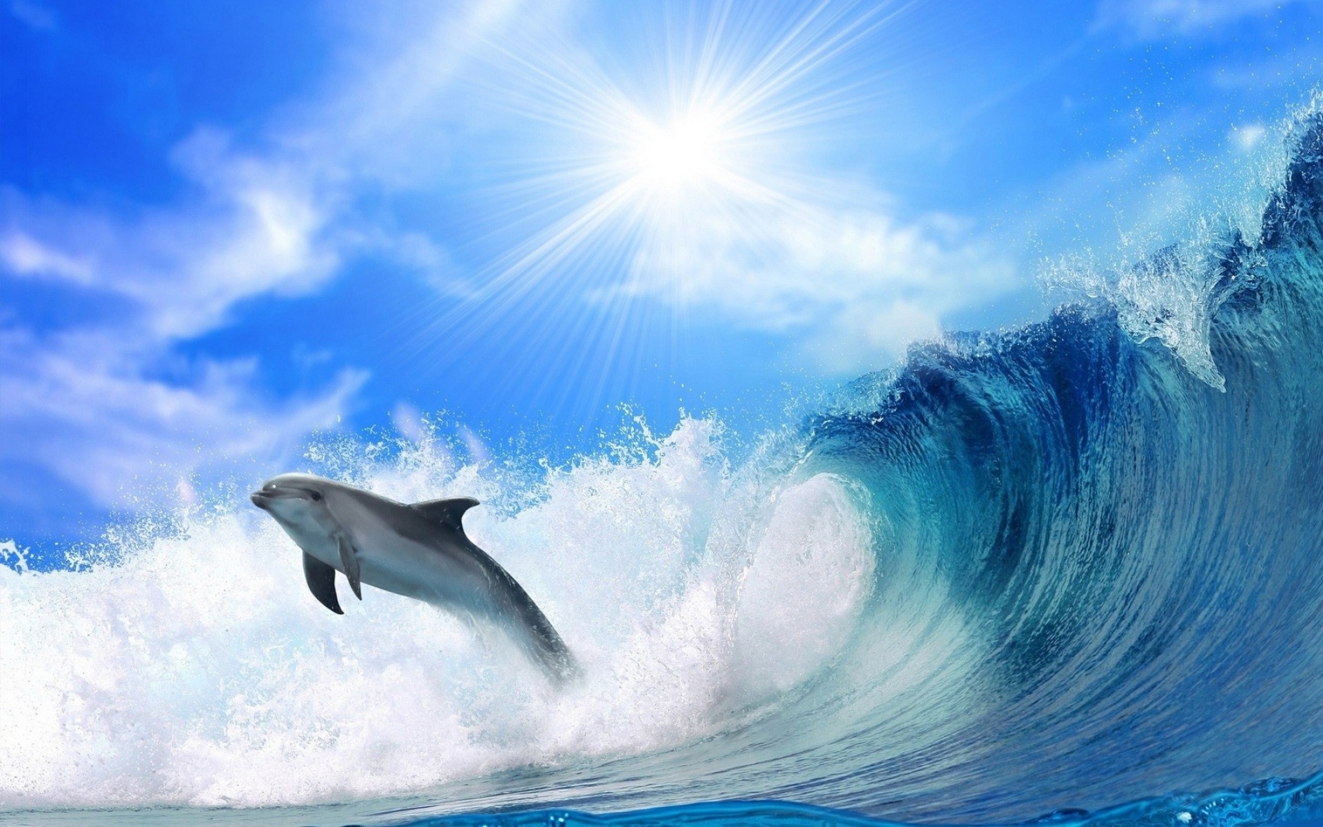 Картинки Дельфин, солнечный свет, блеск, прыжок, море фото и обои на рабочий стол
