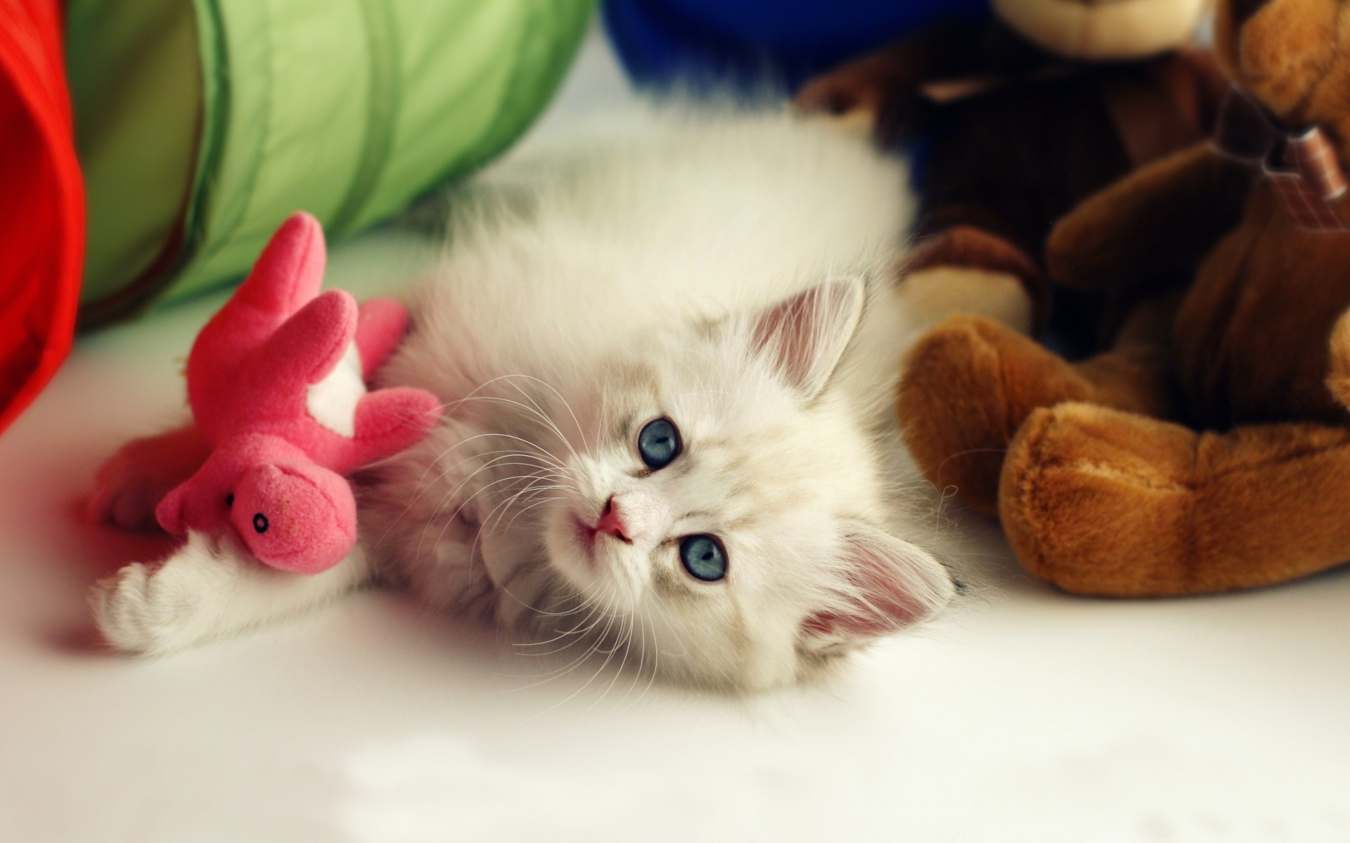 Картинки Котенок, игрушки, игривый, малыш фото и обои на рабочий стол