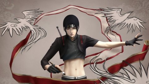 Искусство, zetsuai, naruto, sai, кисть, рулет, птицы