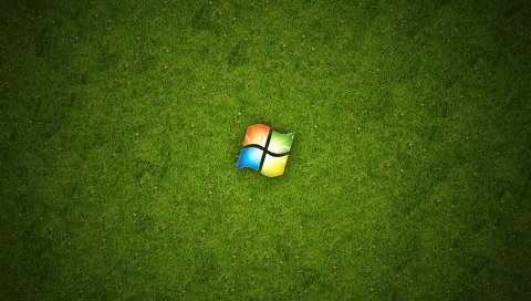 Windows, os, system, grass, logo