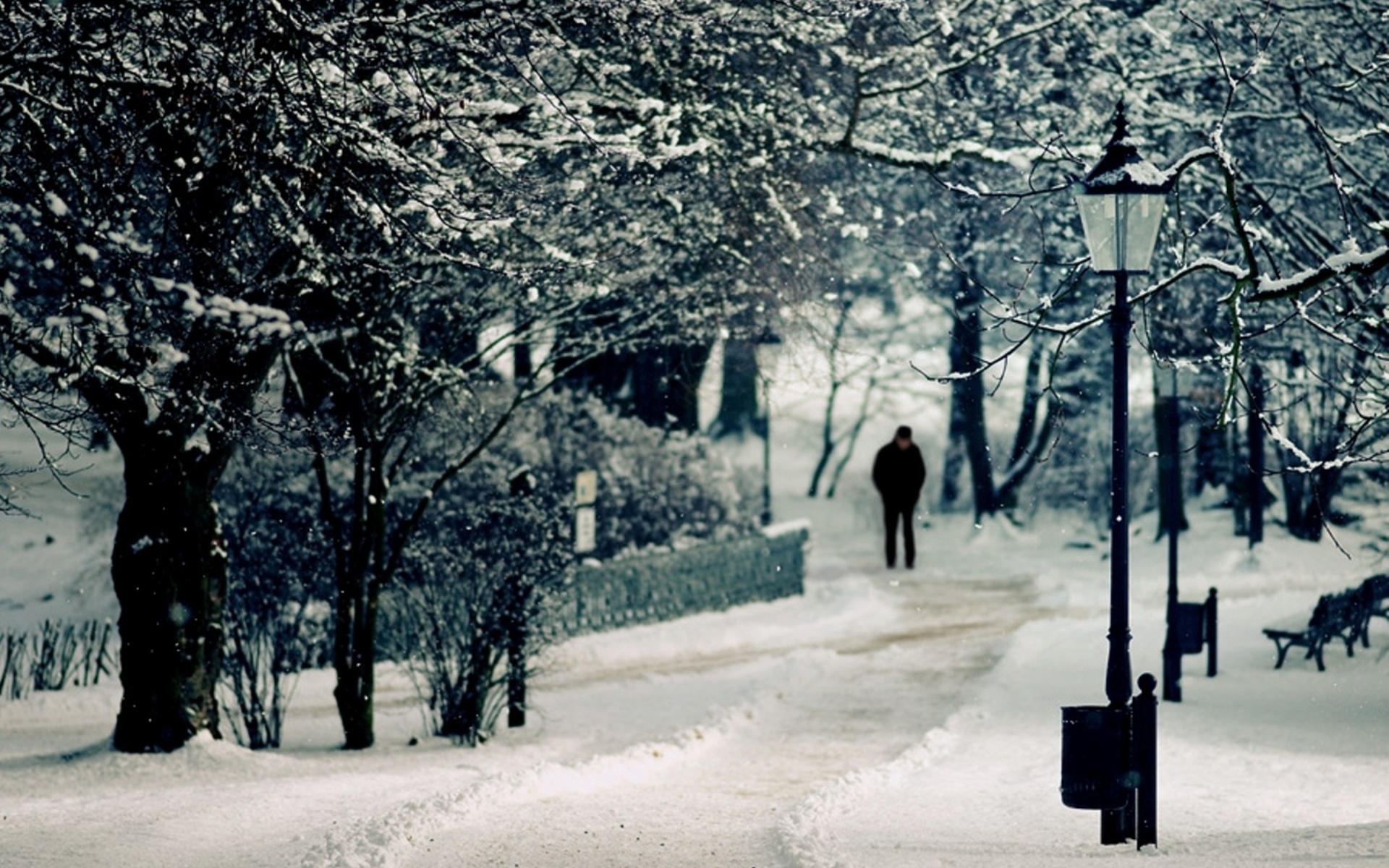 Картинки Снег, человек, скамейка, дерево, огни, зима фото и обои на рабочий стол