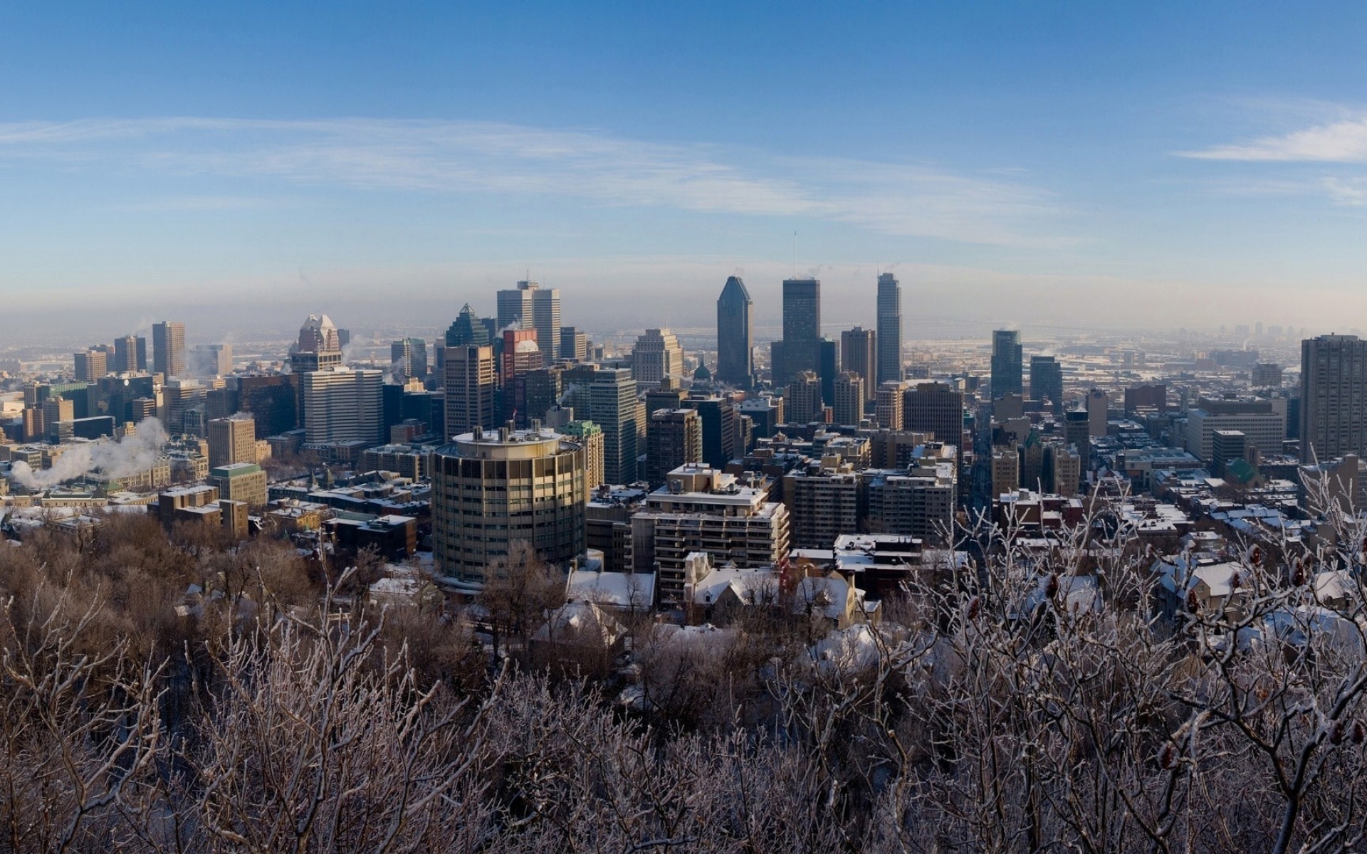 Картинки Зима, Монреаль, Канада, снег, деревья фото и обои на рабочий стол