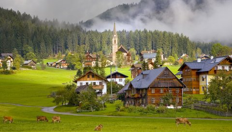 Австрия, Госау, деревня, дома, коровы
