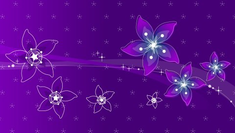 Цветы, фон, блеск