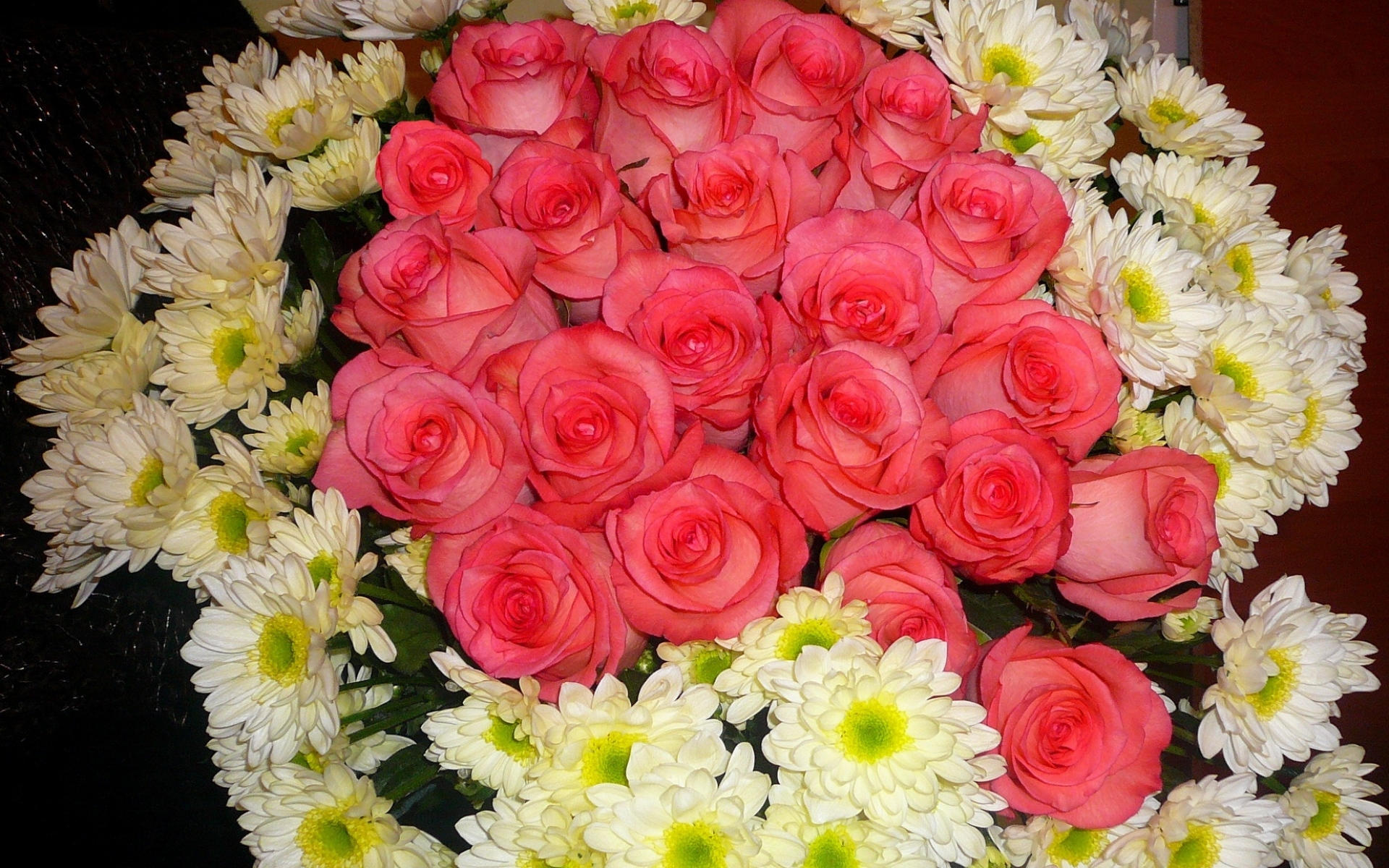 Картинки Розы, хризантемы, цветы, букет фото и обои на рабочий стол