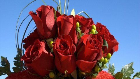 Розы, букет, бутоны, небо, рисунок