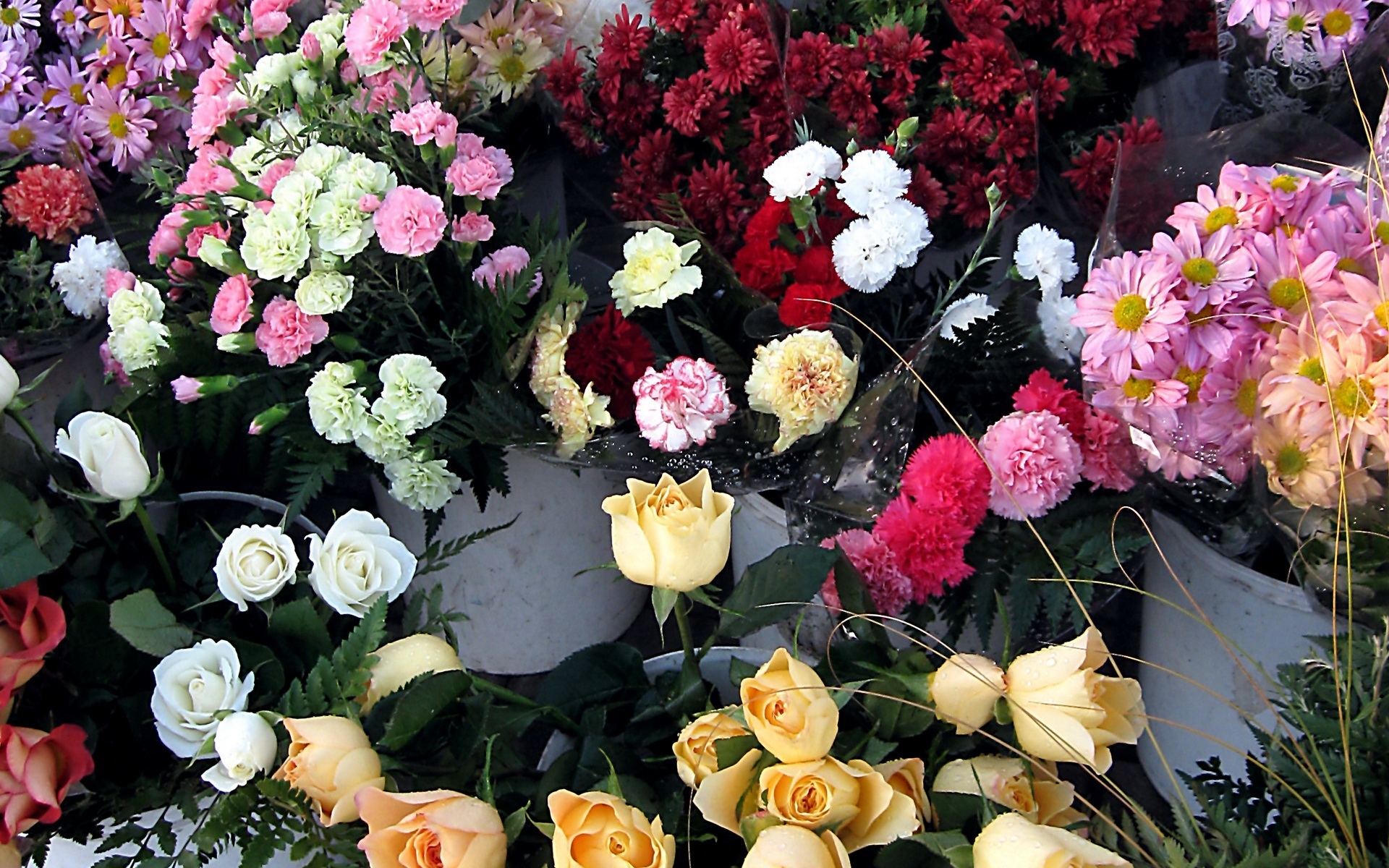 Картинки Розы, хризантемы, гвоздики, цветы, прилавки фото и обои на рабочий стол
