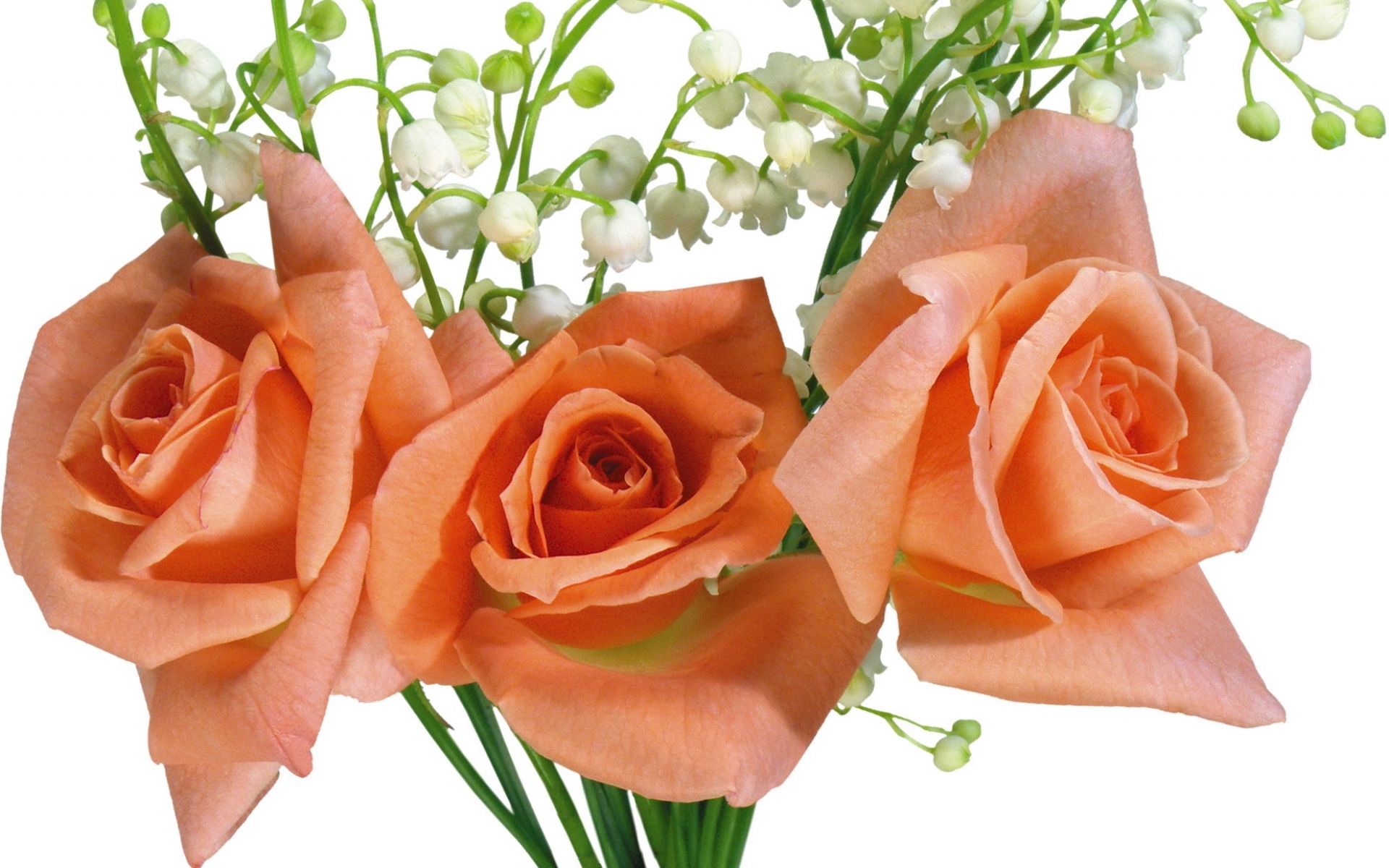 Картинки Розы, лилии долины, букет, цветы фото и обои на рабочий стол