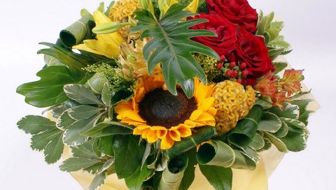 Розы, подсолнухи, цветы, листья, цветок, украшения