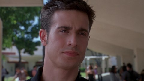 Freddie prinze jr, лицо, улыбка, мальчик, знаменитость, брюнетка, красивый