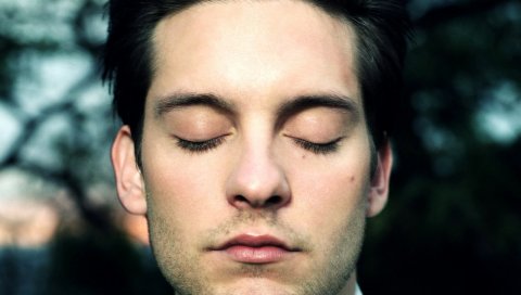 Tobey maguire, лицо, глаза, сон, ресницы, крупный план, брюнетка