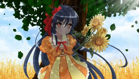 Shakugan no shana, девушка, брюнетка, дерево, подсолнечник, тень