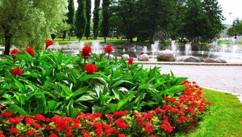 Цветы, клумба, зеленый, фонтан, аллея