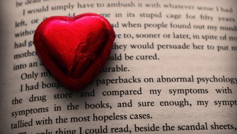 Сердце, книга, листья, буквы