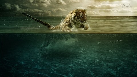 Тигр, прыжок, море, подводный, охотничий