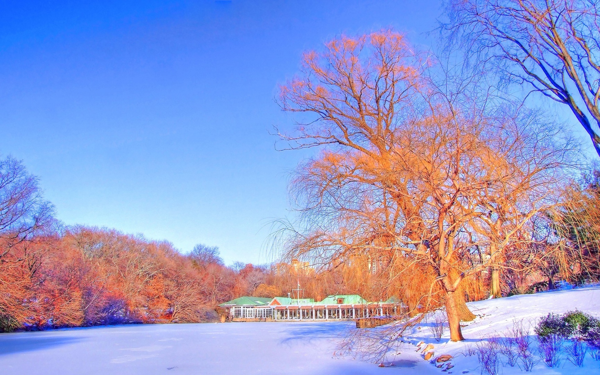 Картинки Озеро, зима, дом, поместье, дерево, снег фото и обои на рабочий стол