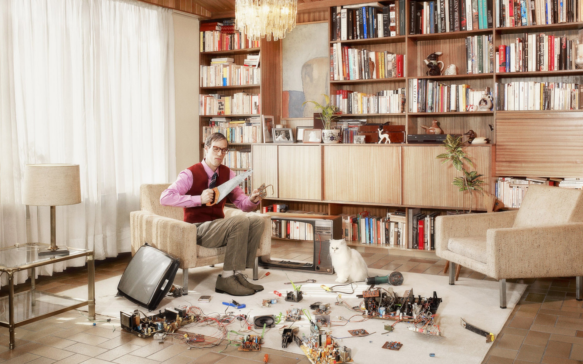 Картинки Человек, кошка, компьютер, детали, провода, пила фото и обои на рабочий стол