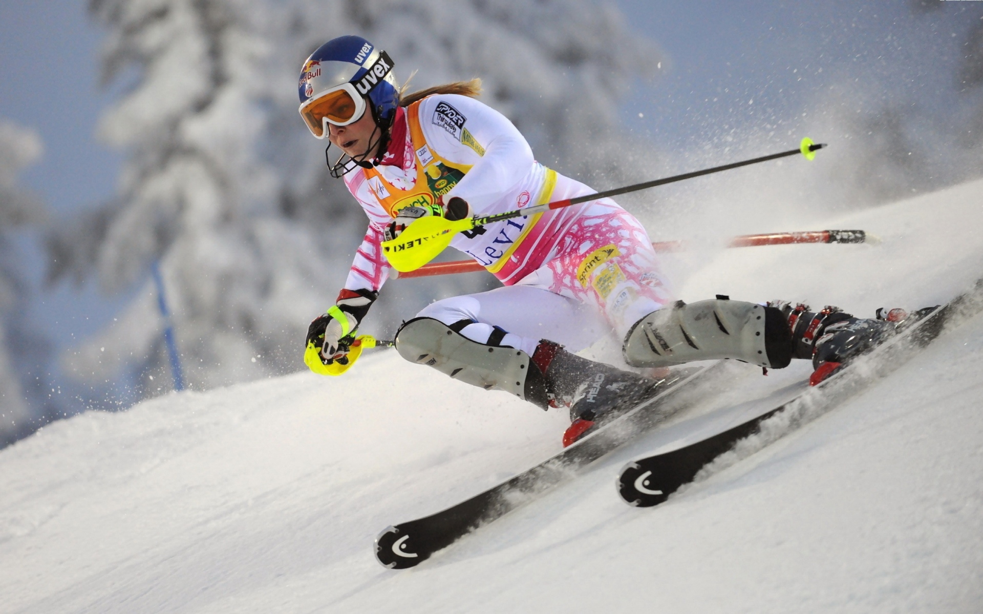 Картинки Lindsey vonn, лыжи, спуск, палка, снег фото и обои на рабочий стол