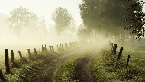 Деревья, дорога, туман, забор, утро, ставки