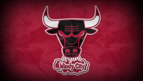Chicago быки, бык, баскетбол, клуб, спорт