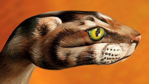 Рука, искусство, рисунок, жестикуляция