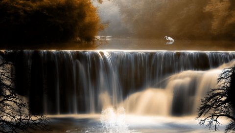 Падает, кран, вода, птица, деревья