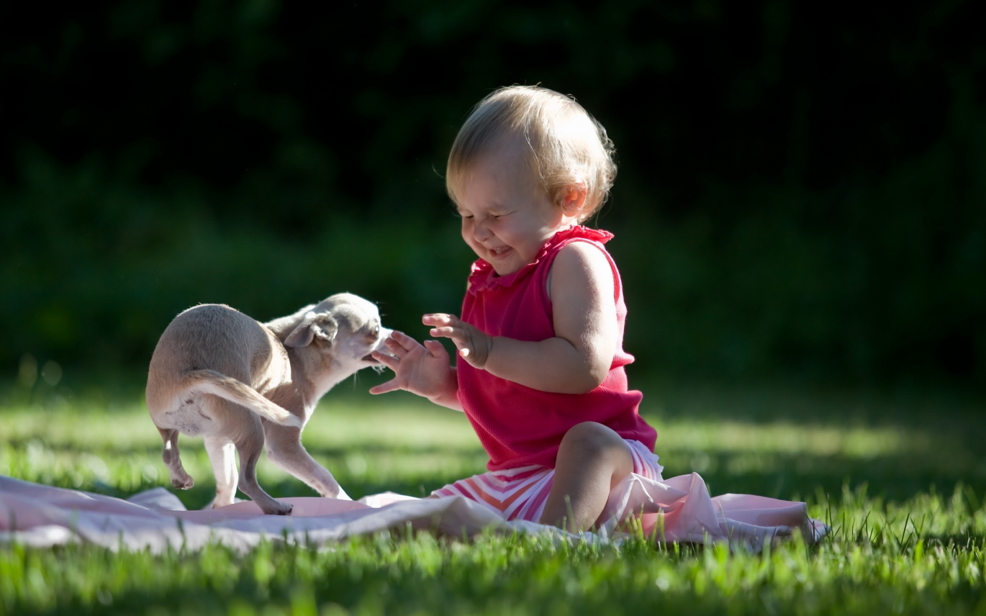 Животные дети просмотра. Животные летом для детей. Детям о животных. Собака для детей. Забавные дети и животные.