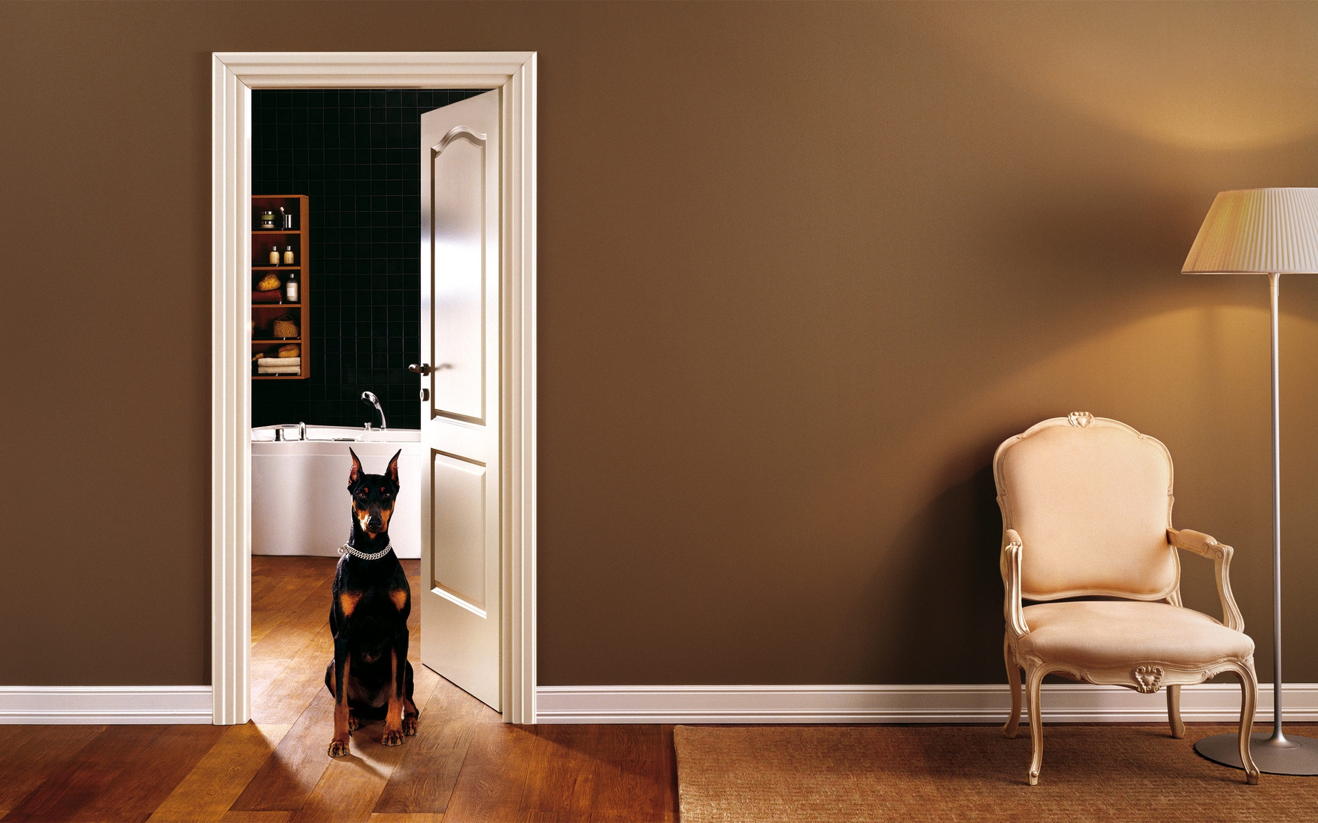 Картинки Комната, интерьер, собака, дверь, прихожая фото и обои на рабочий стол