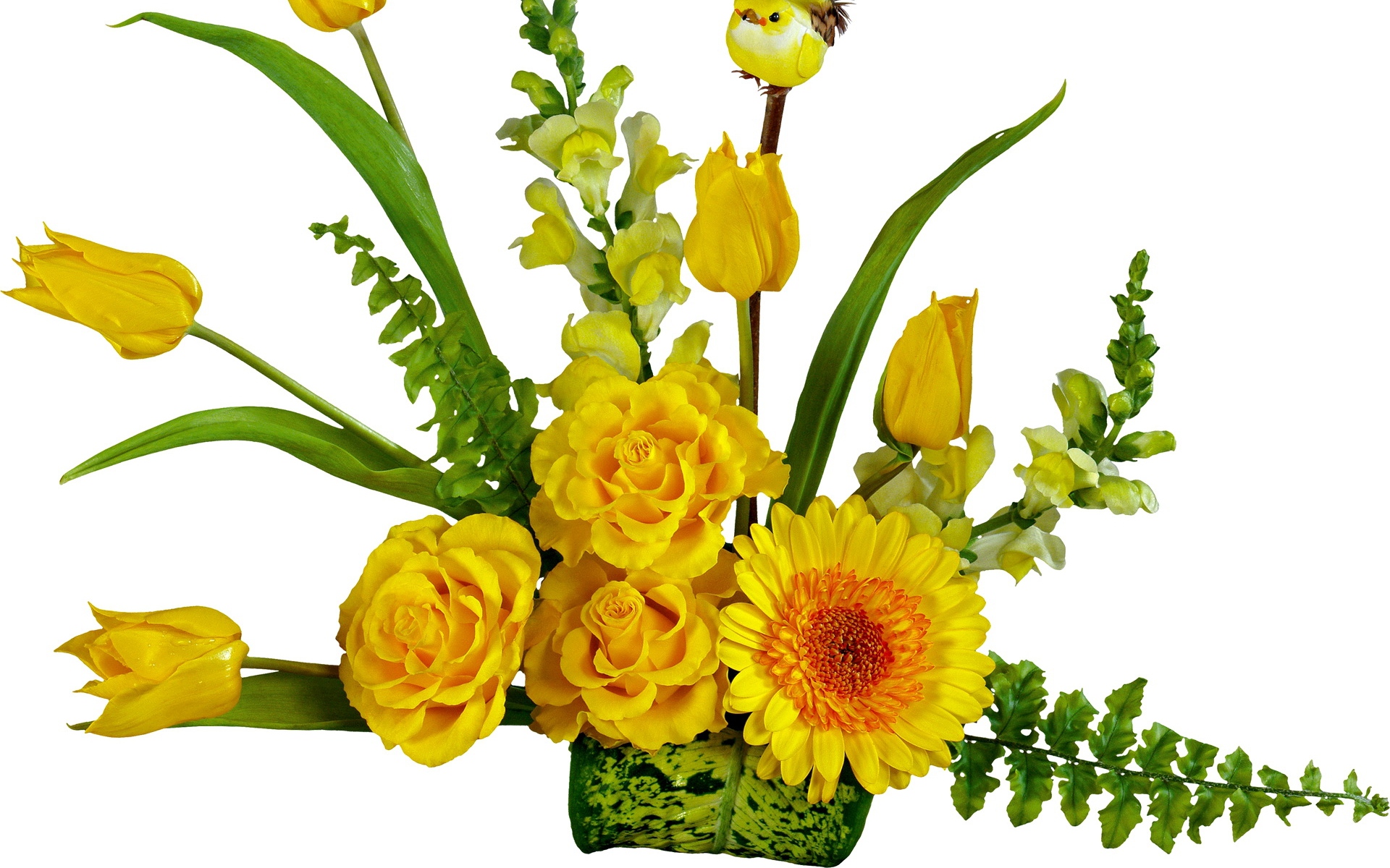 Картинки Тюльпаны, розы, цветы, цветок, желтый, листья, птица фото и обои на рабочий стол