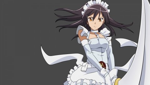 Misaki ayuzawa kaichou wa maid-sama, девушка, руки, глаза, осанка