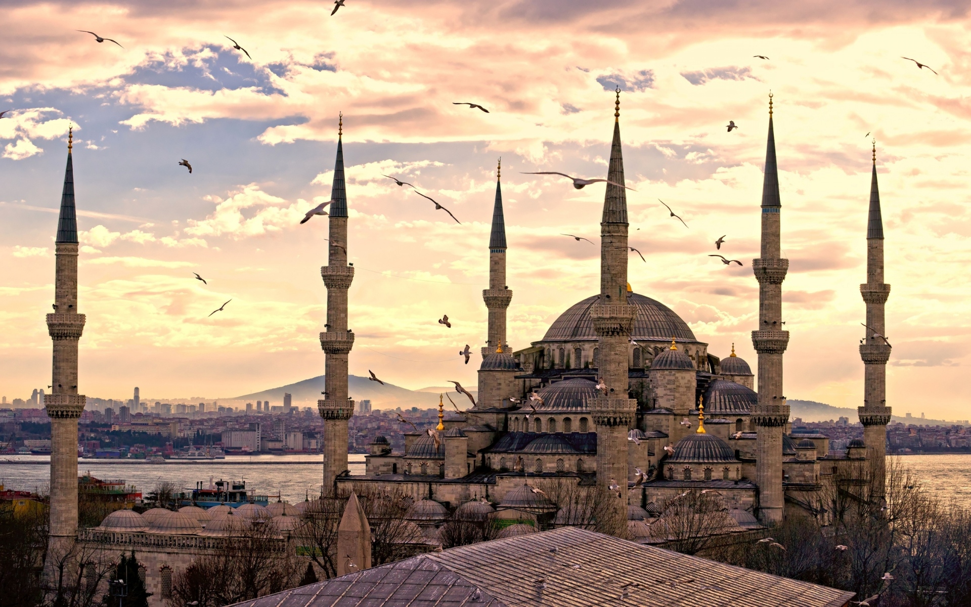 Картинки Стамбул, город, султанахметская мечеть, индейка фото и обои на рабочий стол